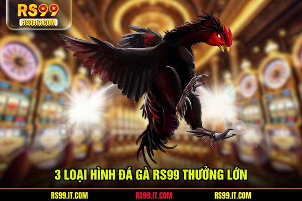 3 loại hình đá gà RS99 thưởng lớn