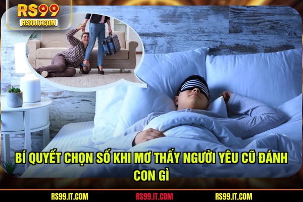 Bí quyết chọn số khi mơ thấy người yêu cũ đánh con gì