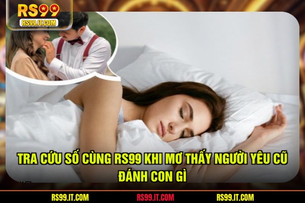 Tra cứu số cùng RS99 khi mơ thấy người yêu cũ đánh con gì